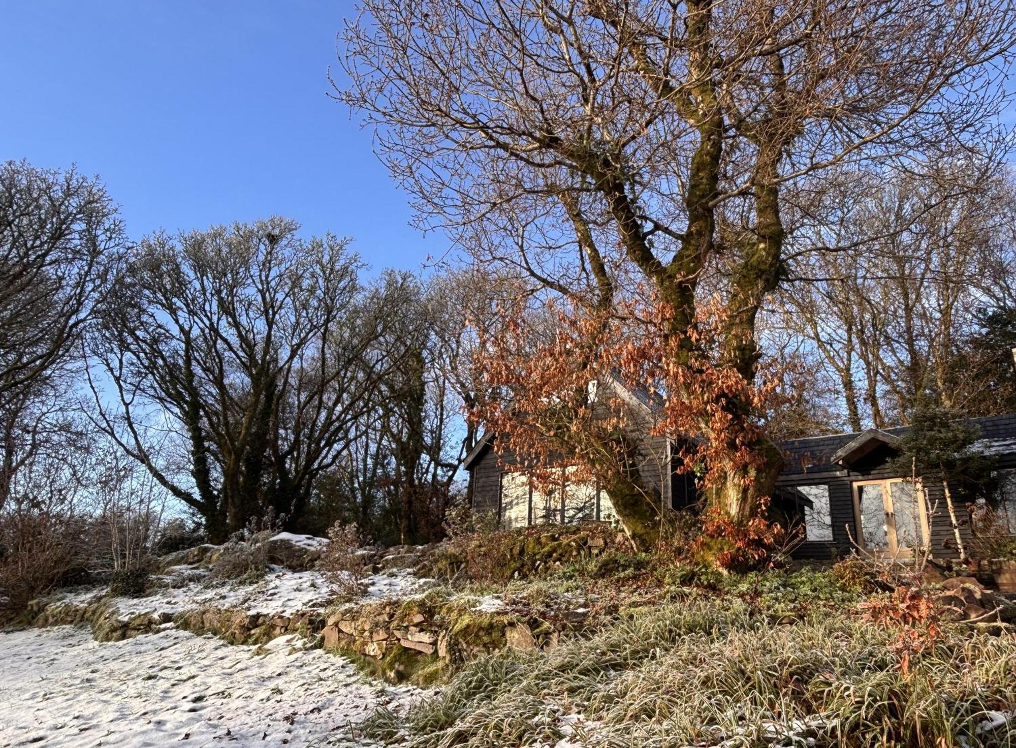 Sligo Forest Retreat Villa Exterior photo